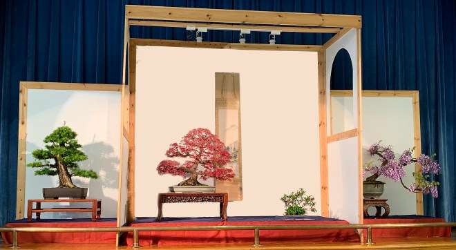 第46届纽约上州盆景展销会