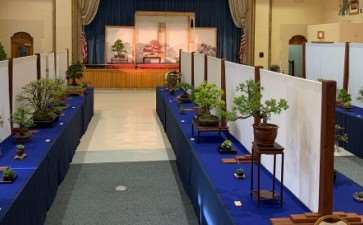 2019年第46届纽约上州盆景展销会