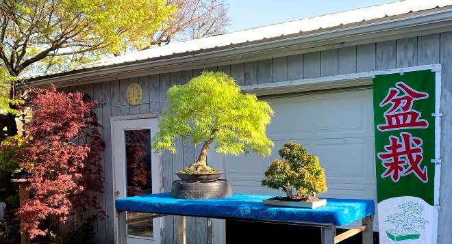 2019年 世界盆景日