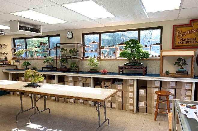 2019年 世界盆景日