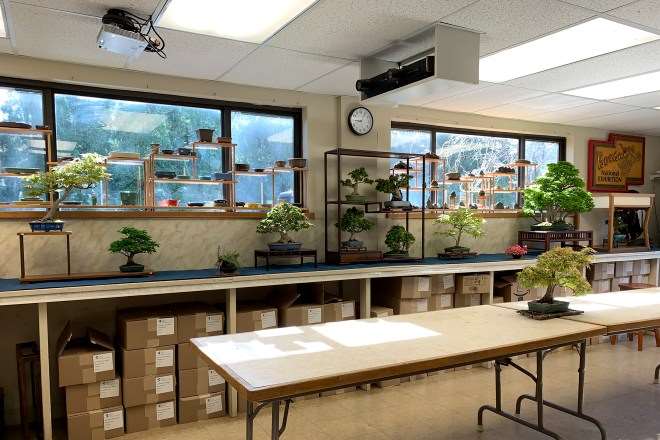 2019年 世界盆景日