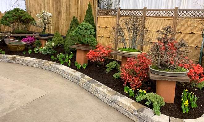 2019 纽约花园空间盆景展 图片