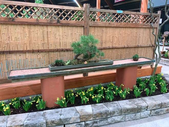 2019 纽约花园空间盆景展 图片