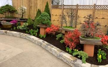 2019 纽约花园空间盆景展 图片