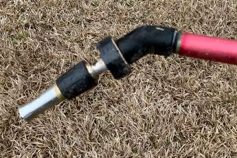 图解 怎么通过移植提炼日本枫树盆景