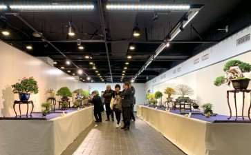 2019年第93届国府盆景展 第2部分