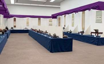 2019 第六届日本水石盆景展 图片