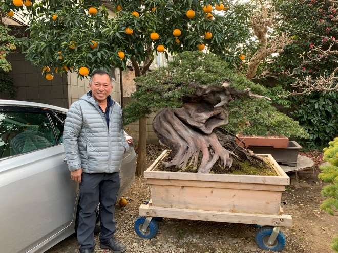 我参观大宫盆景村