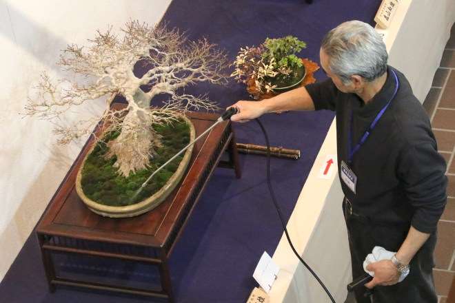 2019年第93届国府盆景展