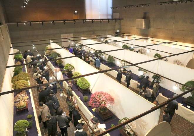 2019年第93届国府盆景展