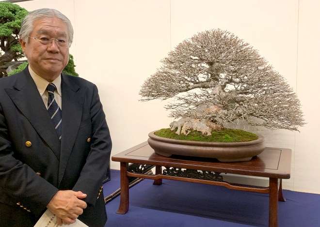 2019年第93届国府盆景展