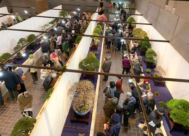 2019年 第93届东京国府盆景展