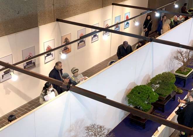 2019年 第93届东京国府盆景展
