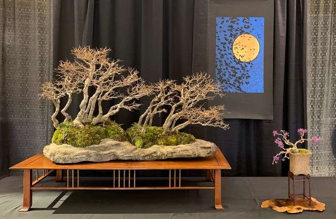 2018 第六届冬季剪影盆景博览会