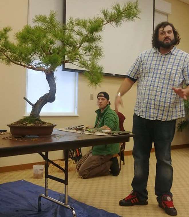 2018 第六届冬季剪影盆景博览会