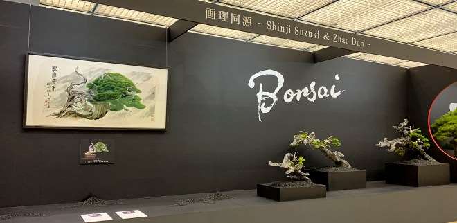 2018年第38届日本盆景大观展 第3部分