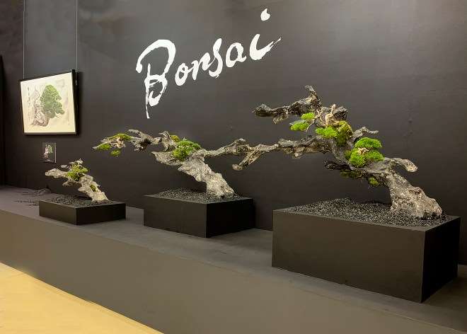 2018年第38届日本盆景大观展 第3部分