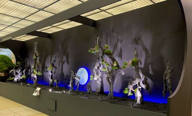 2018年第38届日本盆景大观展 第3部分