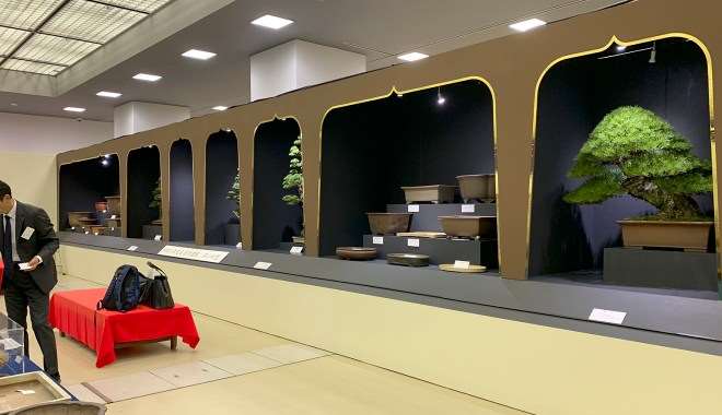 2018年第38届日本盆景大观展 第3部分