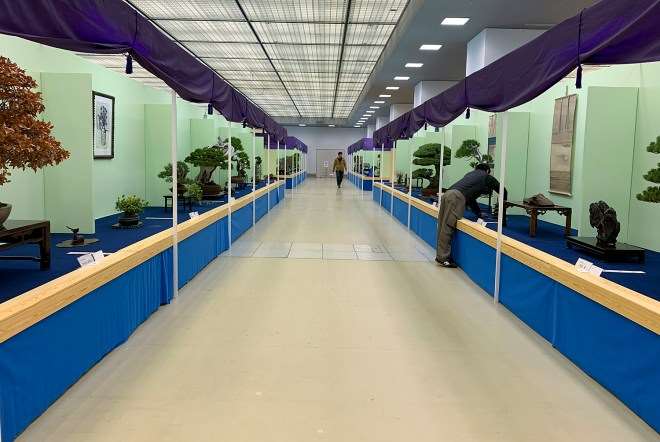 2018年第38届日本盆景大观展