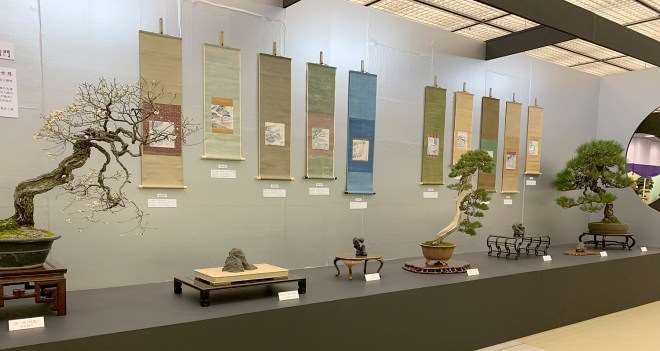2018年第38届日本盆景大观展 第2部分