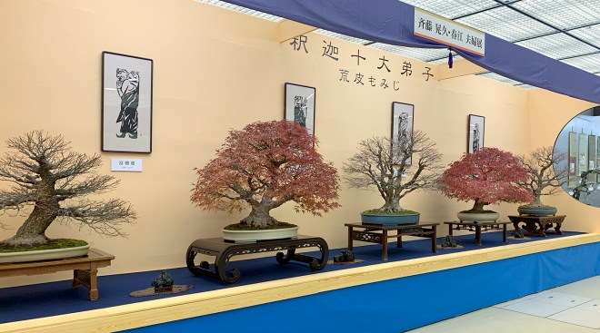 2018年第38届日本盆景大观展