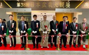 2018年第38届日本盆景大观展 第2部分