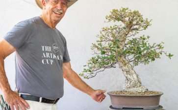 参观约翰汤普森的盆景花园 图片