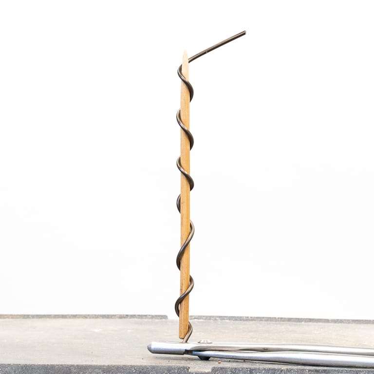 图解 杜松盆景怎么蟠扎的9个过程