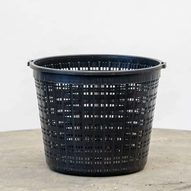 图解 怎么使盆子与盆景目标保持一致