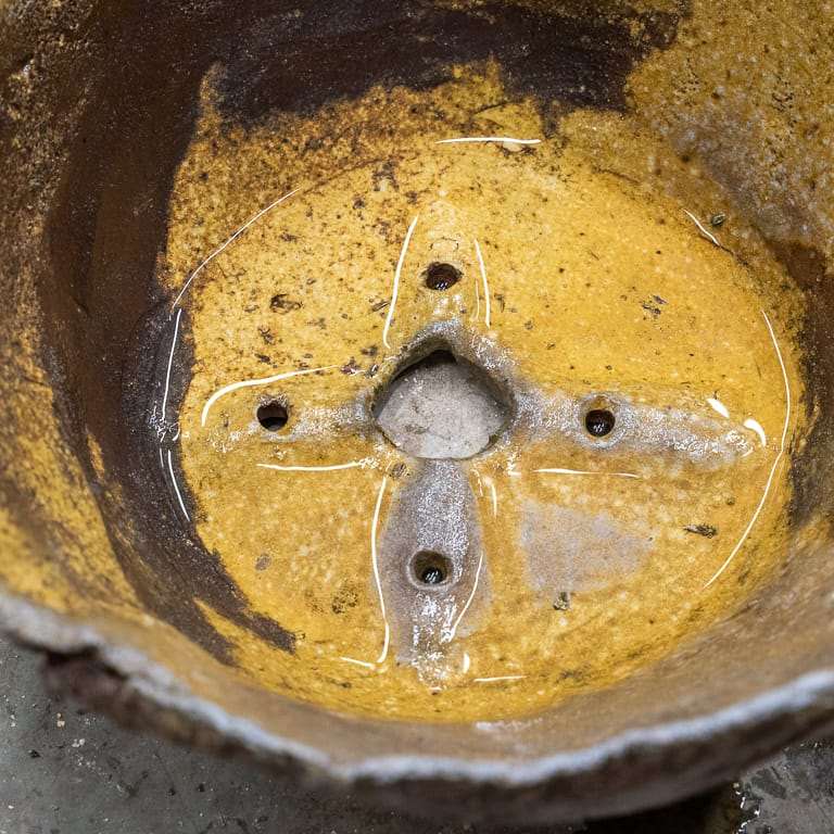 图解 小月杜鹃盆景怎么翻盆的13个过程