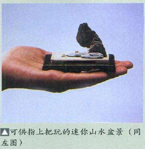 山水盆景怎么布局的7个注意事项 图片