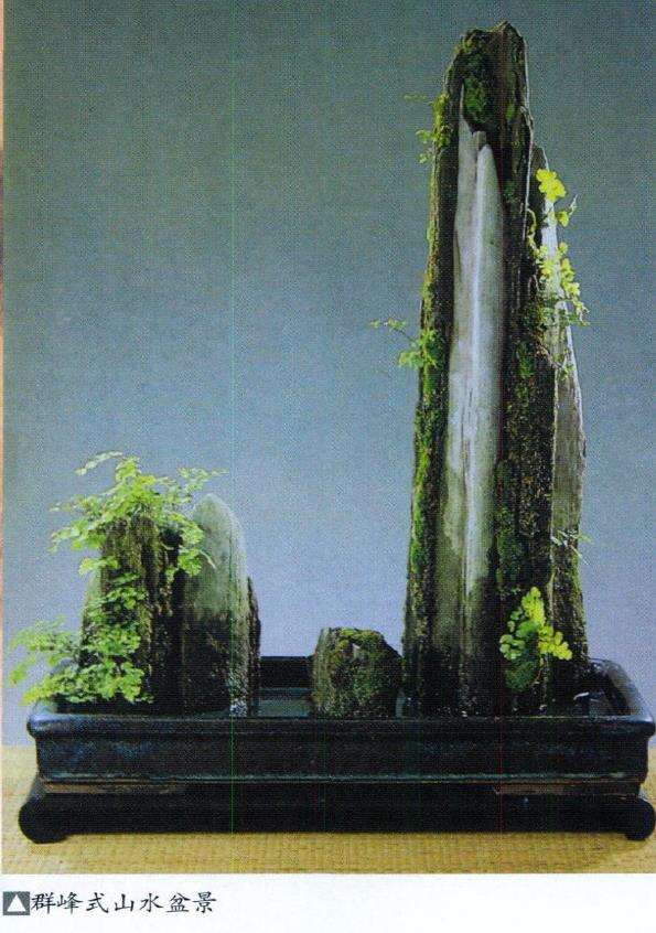 山水盆景怎么布局的7个注意事项 图片