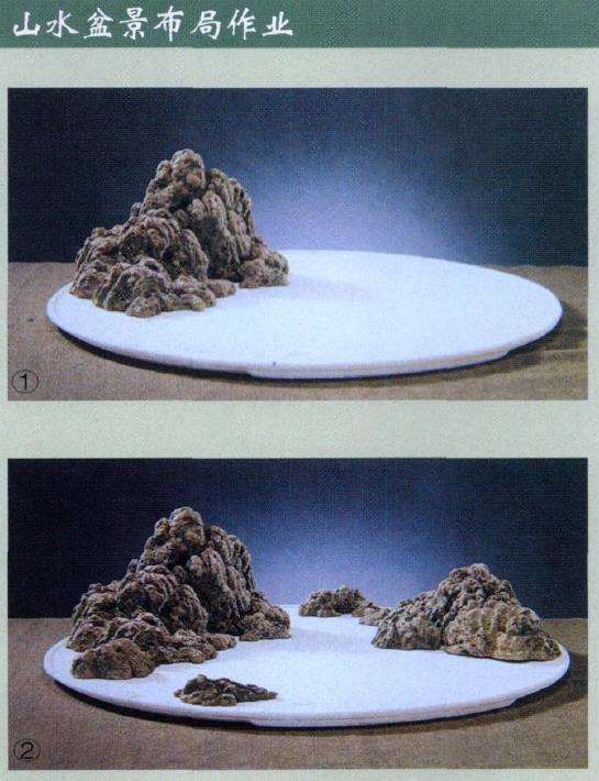 山水盆景怎么布局的7个注意事项 图片