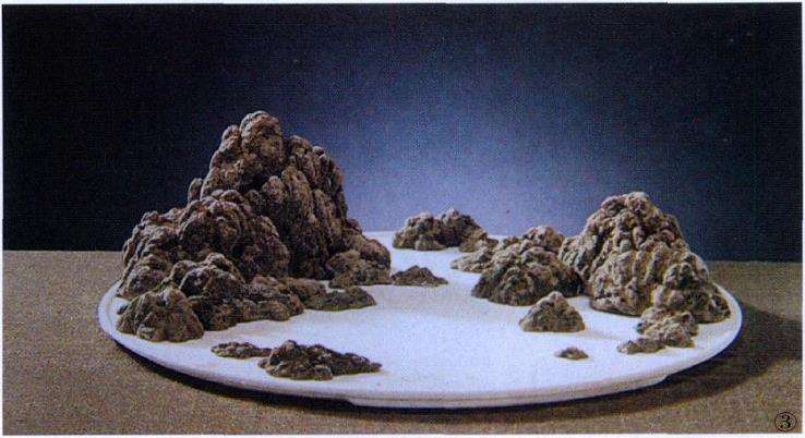 山水盆景怎么布局的7个注意事项 图片