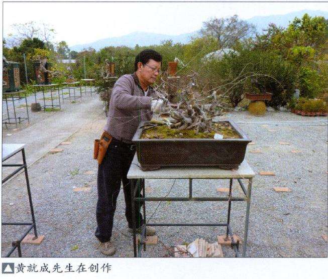 记香港岭南盆景艺术学会会长