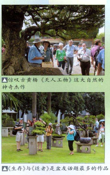 顺德盆景协会成立30周年