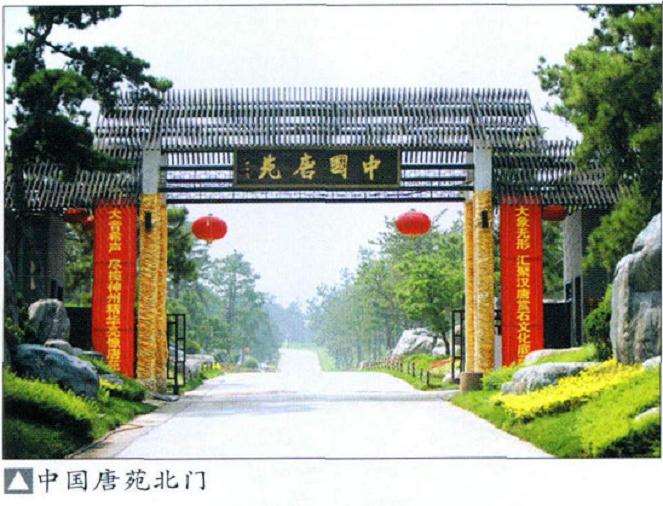 陕西最大的盆景园艺博览园