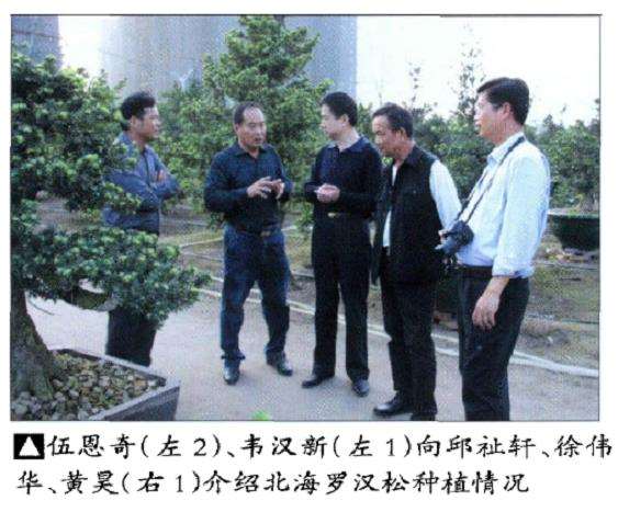 花木盆景杂志社广西盆景考察纪行 图片