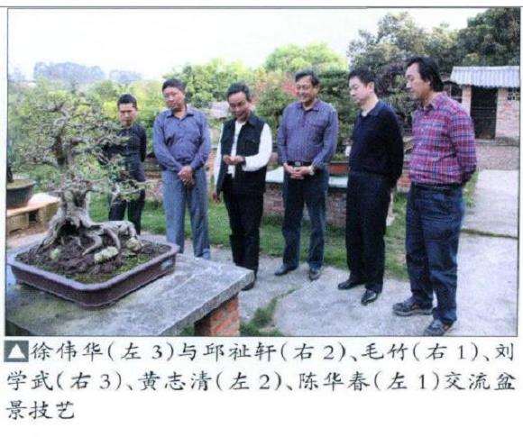 花木盆景杂志社广西盆景考察纪行 图片
