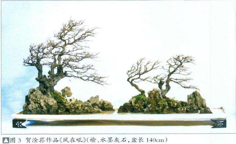 专访中国盆景艺术大师