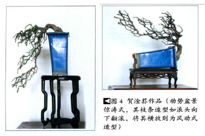 专访中国盆景艺术大师