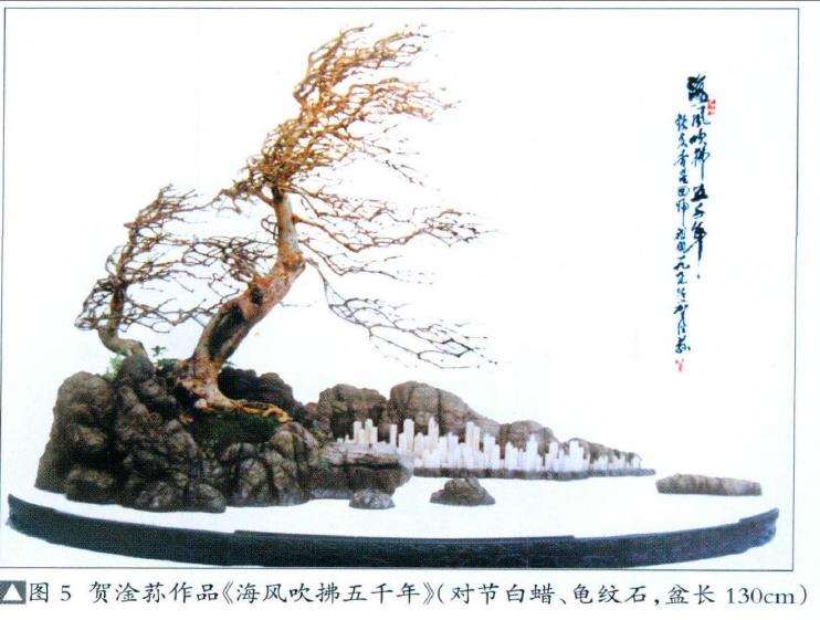 专访中国盆景艺术大师