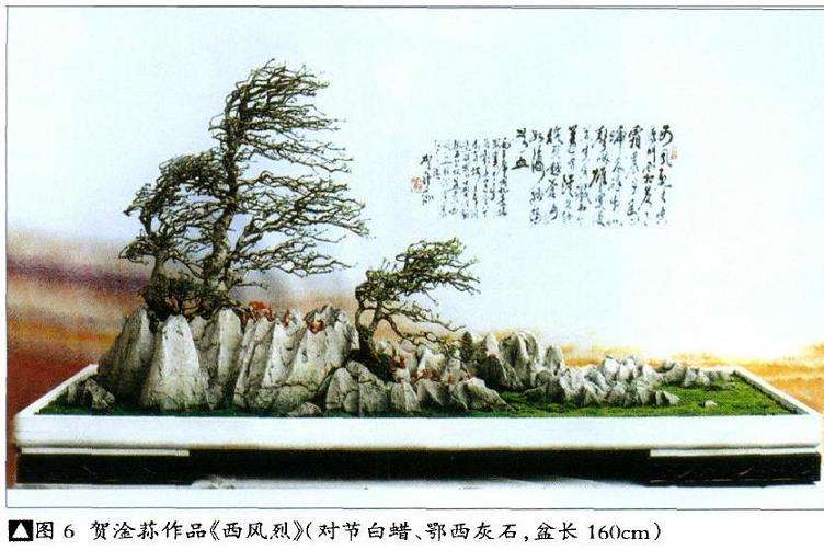 专访中国盆景艺术大师