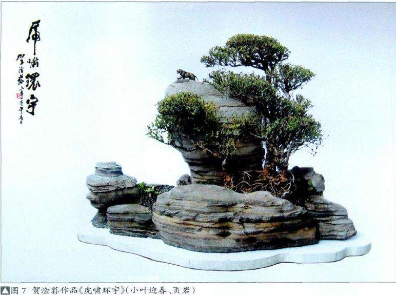 专访中国盆景艺术大师