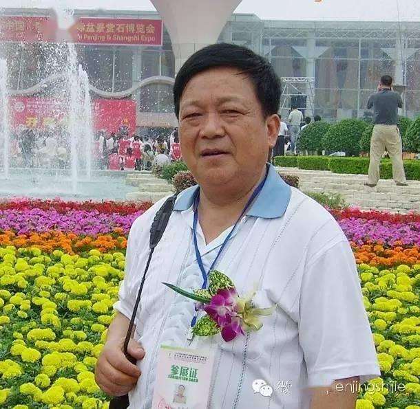 庞燮庭盆景新作 迟到的春天 略析