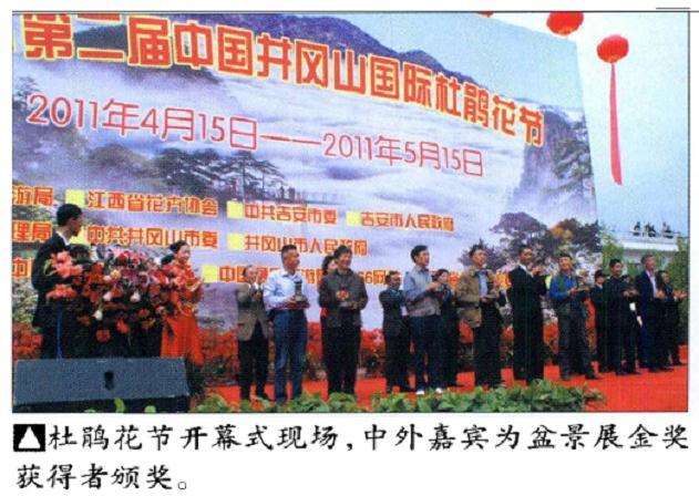 井冈山花卉盆景精品展