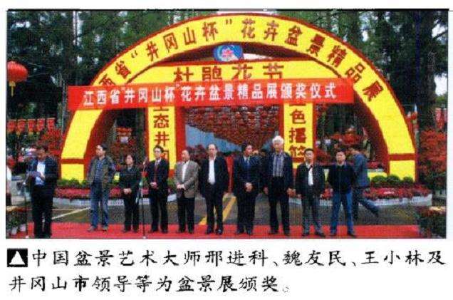 井冈山花卉盆景精品展
