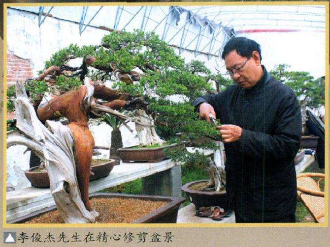 上海盆景艺术家 李俊杰