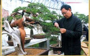 上海盆景艺术家 李俊杰